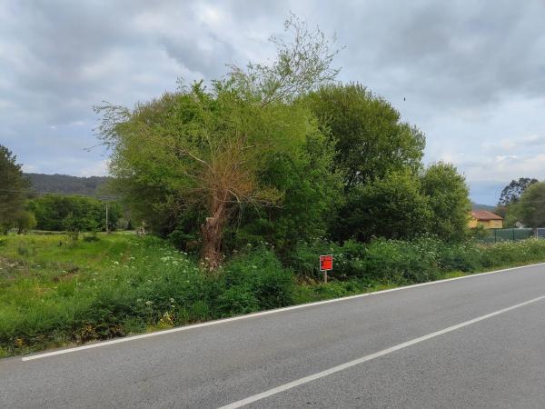 Terreno en calle Areal s/n CalleAreal