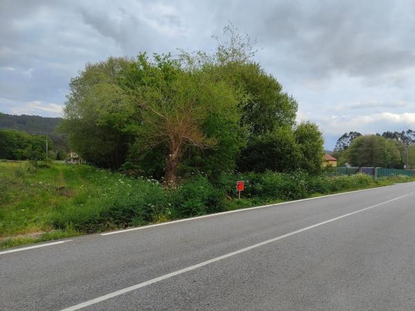 Terreno en calle Areal s/n CalleAreal