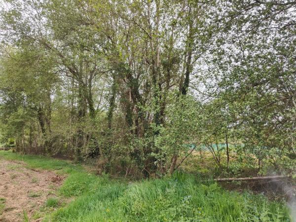 Terreno en calle Areal s/n CalleAreal