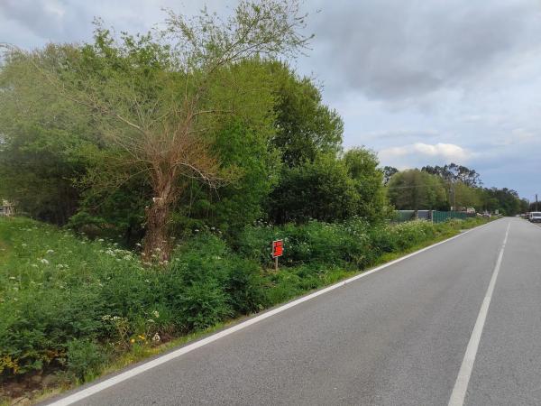Terreno en calle Areal s/n CalleAreal