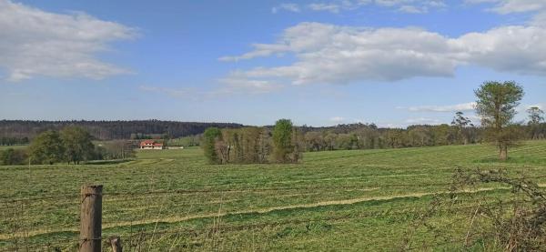 Terreno en Lugar Carballido, Dodro s/n LugarCarballidoDodro
