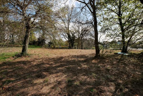 Terreno en calle Onca, 8