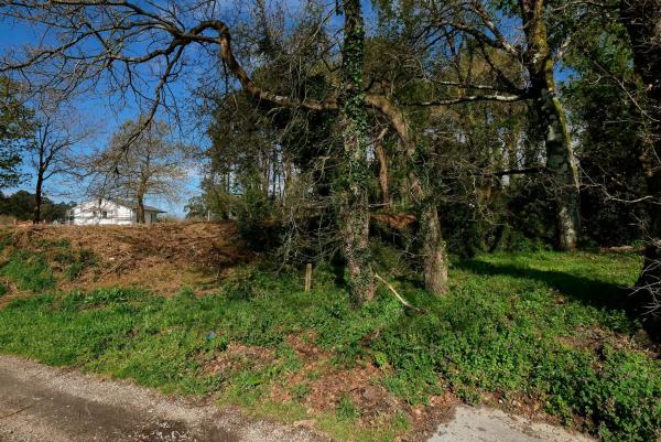 Terreno en calle Onca, 8