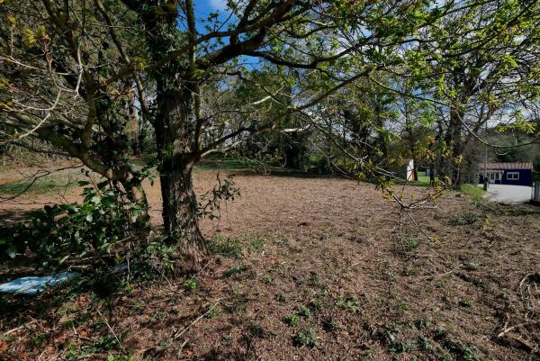 Terreno en calle Onca, 8