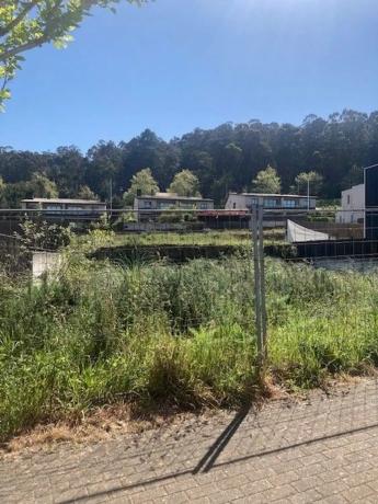 Terreno en avenida Palestina, 37