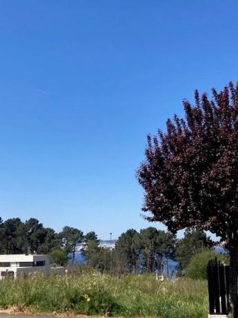 Terreno en avenida Palestina, 37