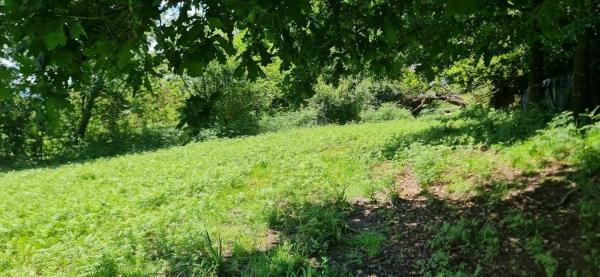 Terreno en calle Montecelo, 15