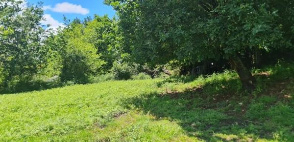 Terreno en calle Montecelo, 15