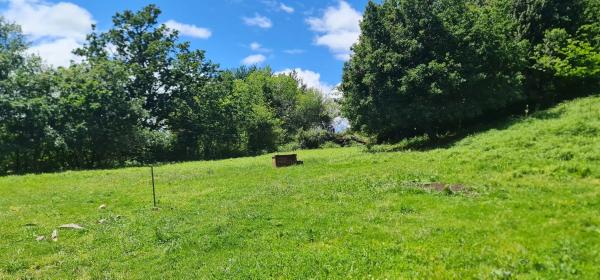 Terreno en calle Montecelo, 15