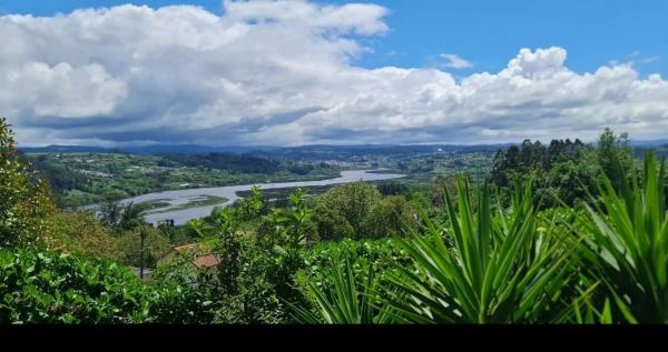 Terreno en calle Montecelo, 15