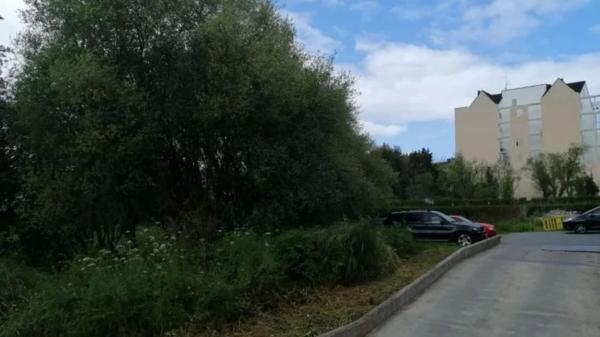 Terreno en calle Agustín Abeleira, 1