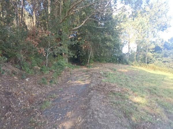 Terreno en Brians de Abaixo( a Estivada) s/n