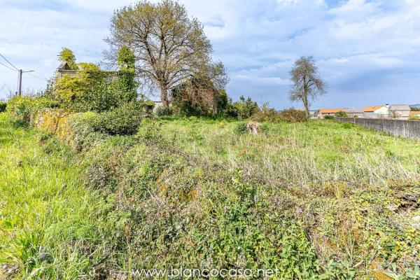 Terreno en Carballo