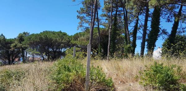 Terreno en calle das Cobas, 13