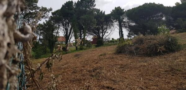 Terreno en calle das Cobas, 13