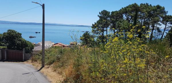 Terreno en calle das Cobas, 13