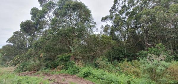 Terreno en Castelo De Arriba, 301