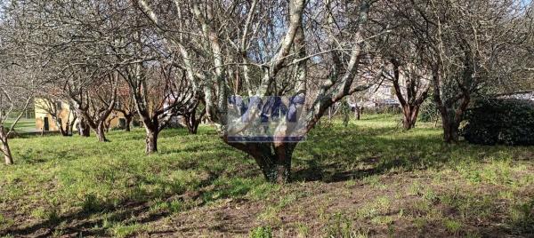 Terreno en Cedeira