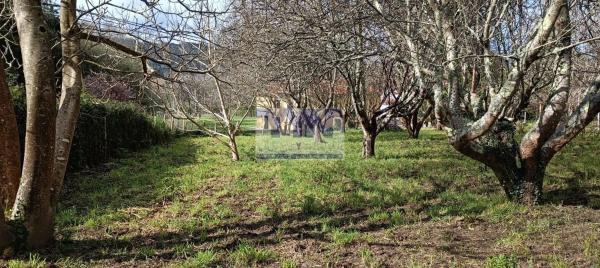 Terreno en Cedeira