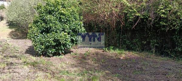Terreno en Cedeira