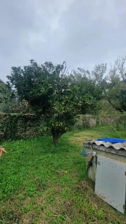 Terreno en Lugar Sirves, 40 -35