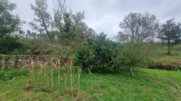 Terreno en Lugar Sirves, 40 -35