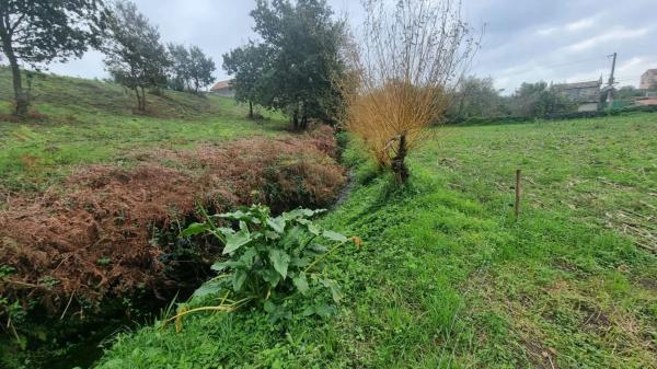 Terreno en Lugar Sirves, 40 -35