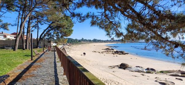 Terreno en calle Norte, 80