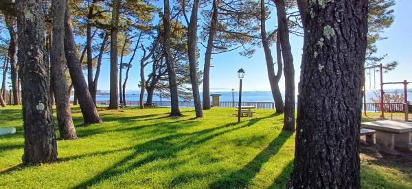 Terreno en calle Norte, 80