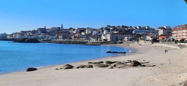 Terreno en calle Norte, 80