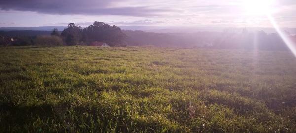 Terreno en Lugar Reboira, 12 LugarReboiraVilarmaior