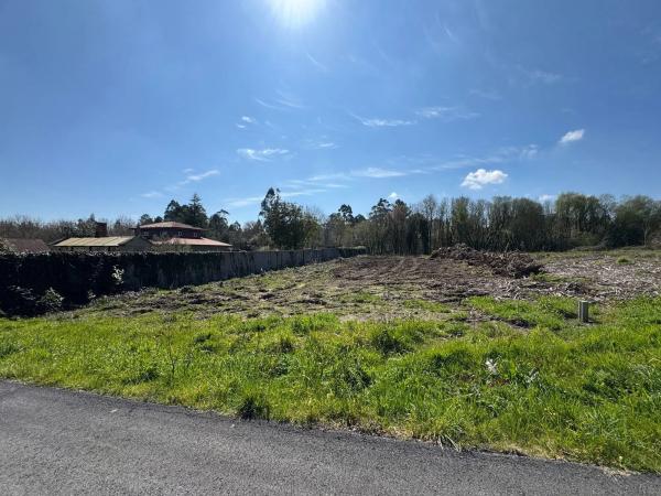 Terreno en lugar cantoña