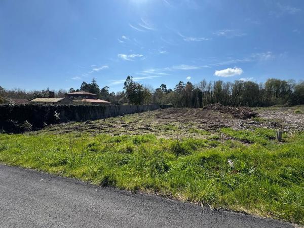 Terreno en lugar cantoña