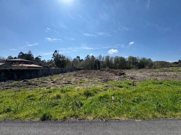 Terreno en lugar cantoña