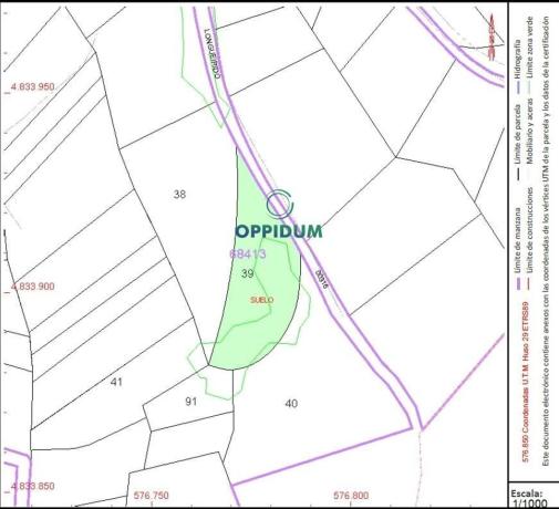 Terreno en camino Logueirido