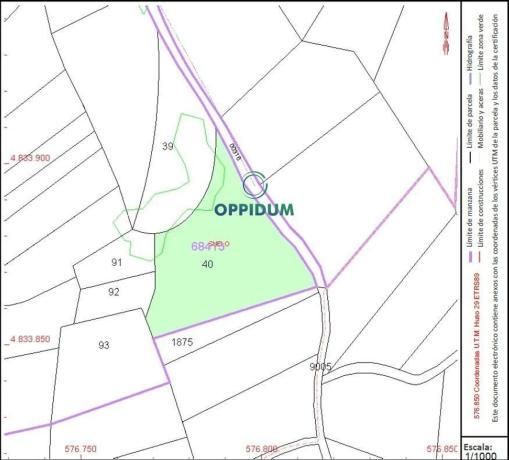 Terreno en camino Logueirido