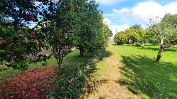 Terreno en Oleiros
