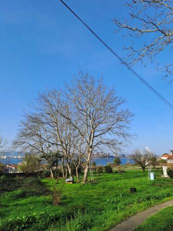 Terreno en calle Pablo Ares Feal, 51