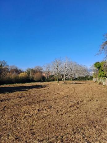 Terreno en calle Pablo Ares Feal, 51