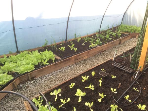 Terreno en Aldea Bergondiño s/n Sn