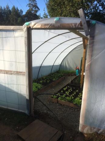 Terreno en Aldea Bergondiño s/n Sn