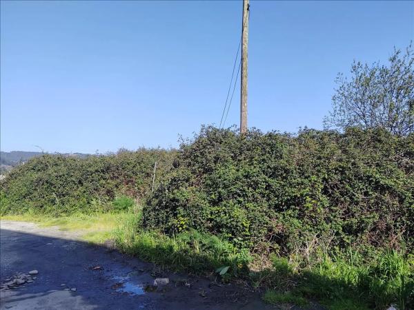 Terreno en calle do Codesal