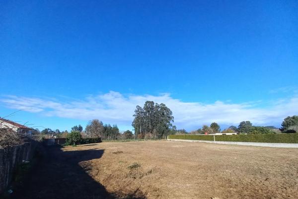 Terreno en Arillo, 5