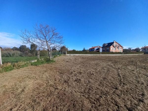 Terreno en Arillo, 5