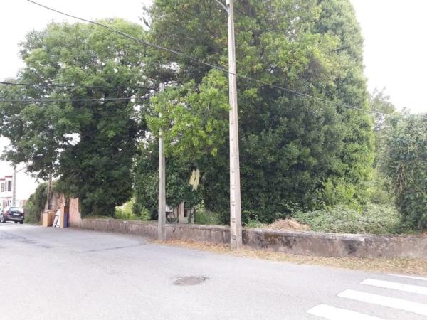 Terreno en camino de San Pedro