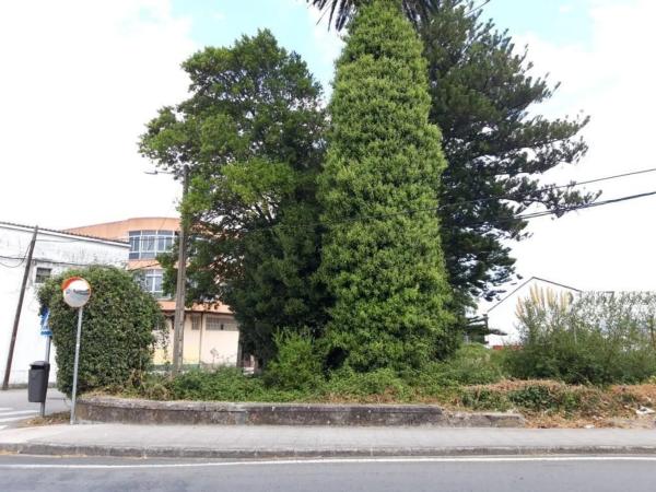 Terreno en camino de San Pedro