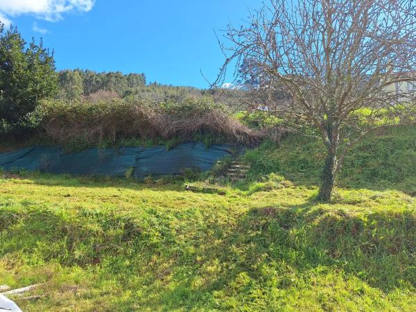 Terreno en Lagares s/n sn
