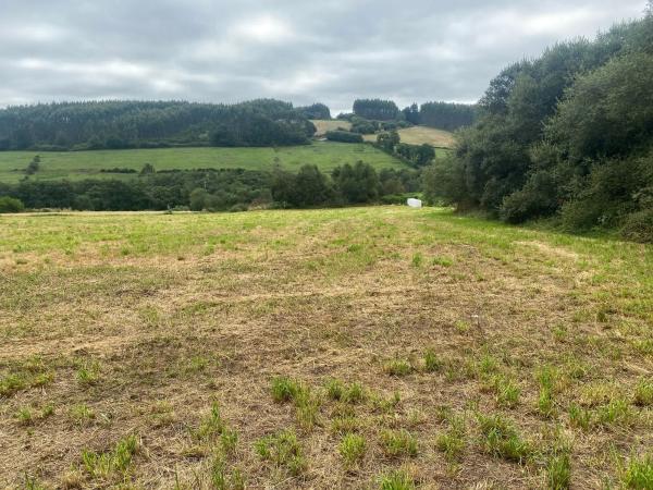 Terreno en Lugar Piñeiro Vales, 15