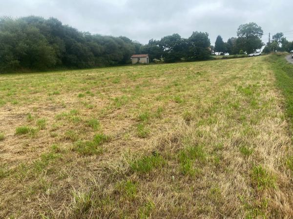 Terreno en Lugar Piñeiro Vales, 15