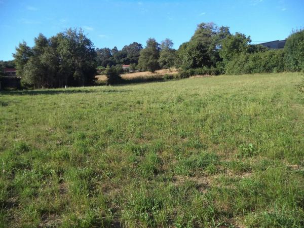 Terreno en Abegondo